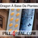 Dragon À Base De Plantes 44